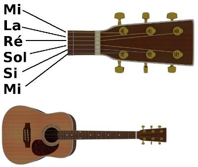 Anatomie de la guitare - Apprendre la guitare
